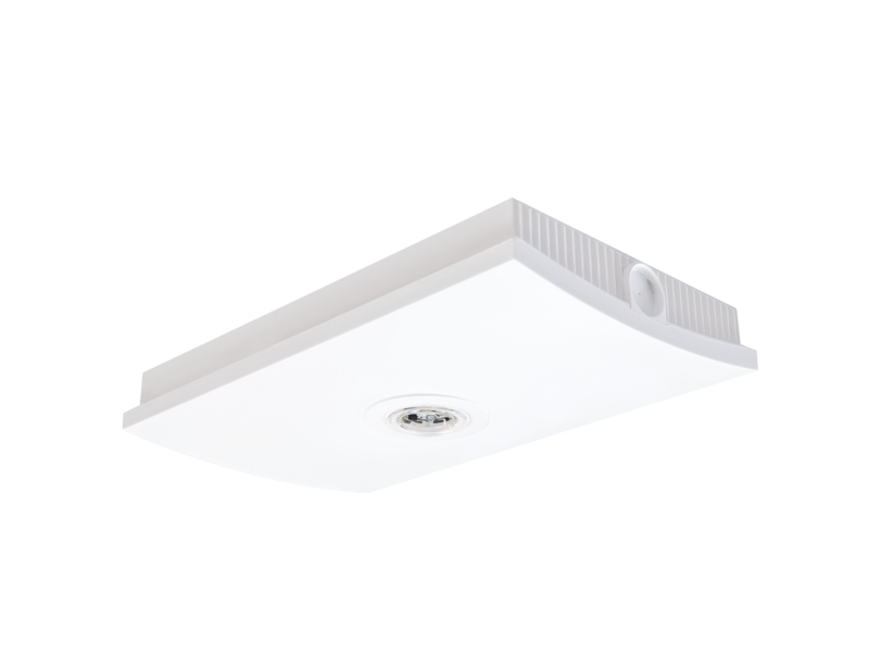 Firefly Surface