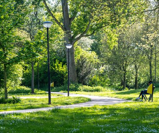 Lightronics CEDER A2 armaturen langs een looppad in het Fabritiuspark in Heerhugowaard