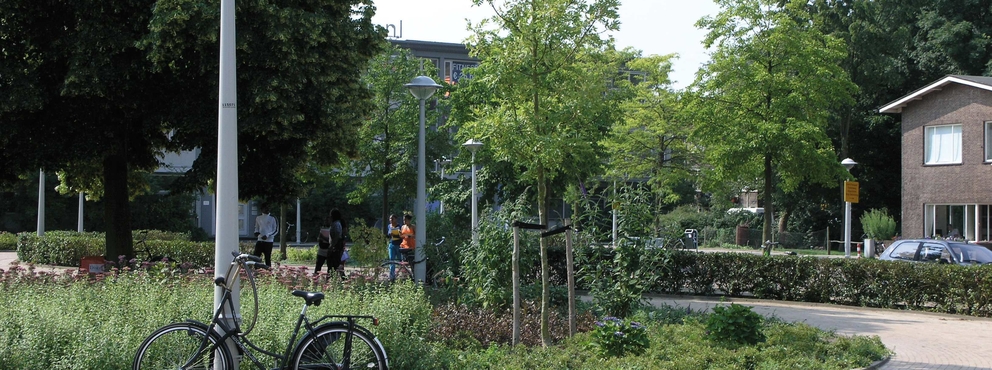 Lightronics holbein armatuur Lightronics holbein armatuur